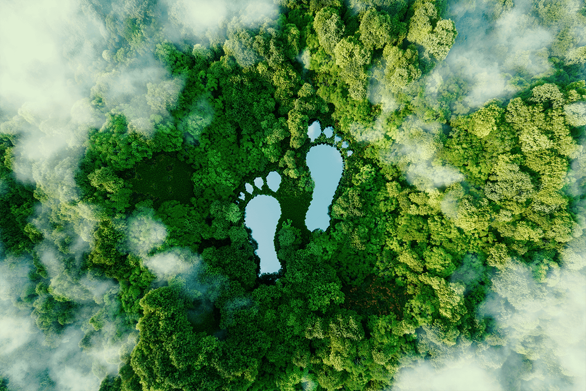 Green footprint concept